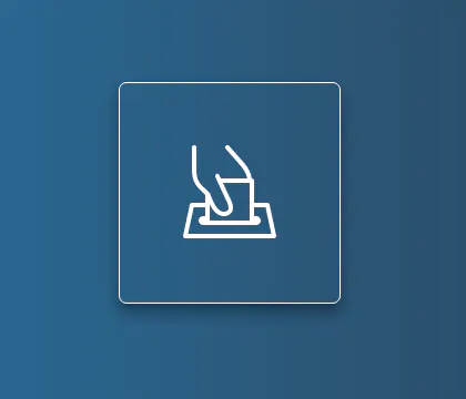 Online Voting