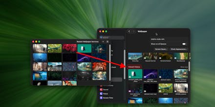 Vidwall Hub gallery image