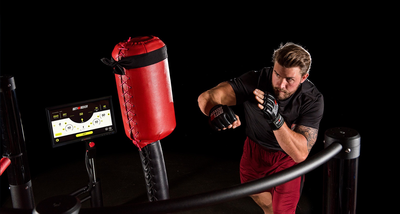 BotBoxer gallery image