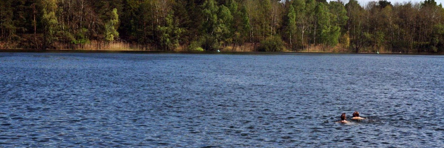 Sébastien Bauwens cover