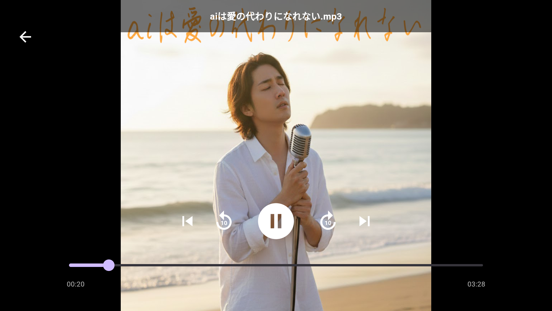 Nas Player Pro gallery image