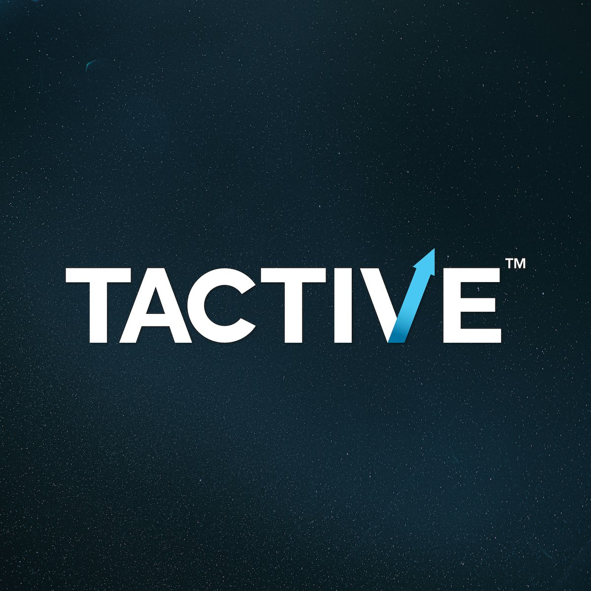 Ricchezza tattiva