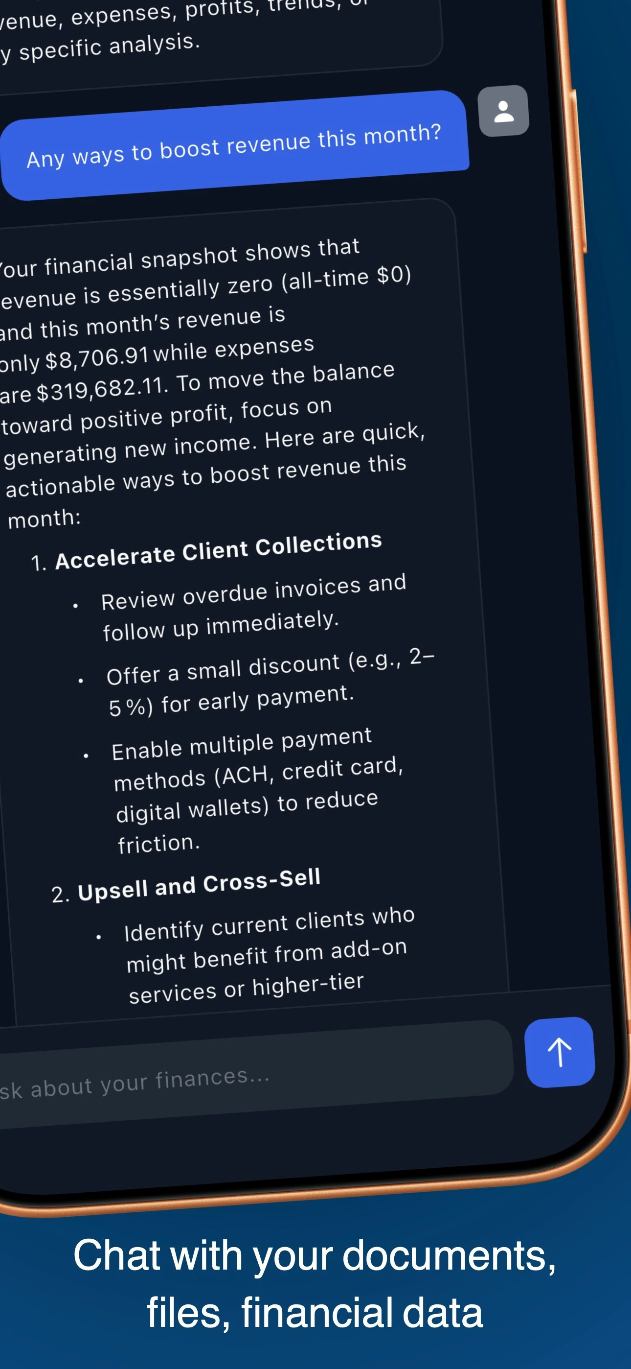 LedgerIQ gallery image