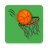 Basket Hoops