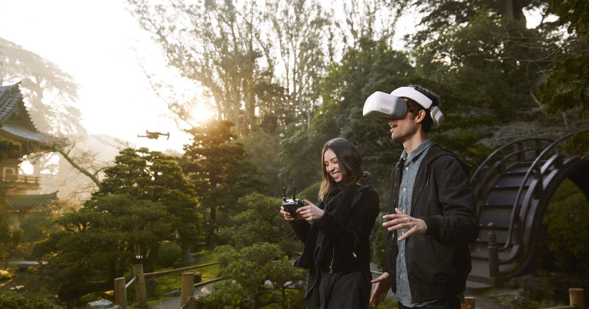 DJI Goggles Image