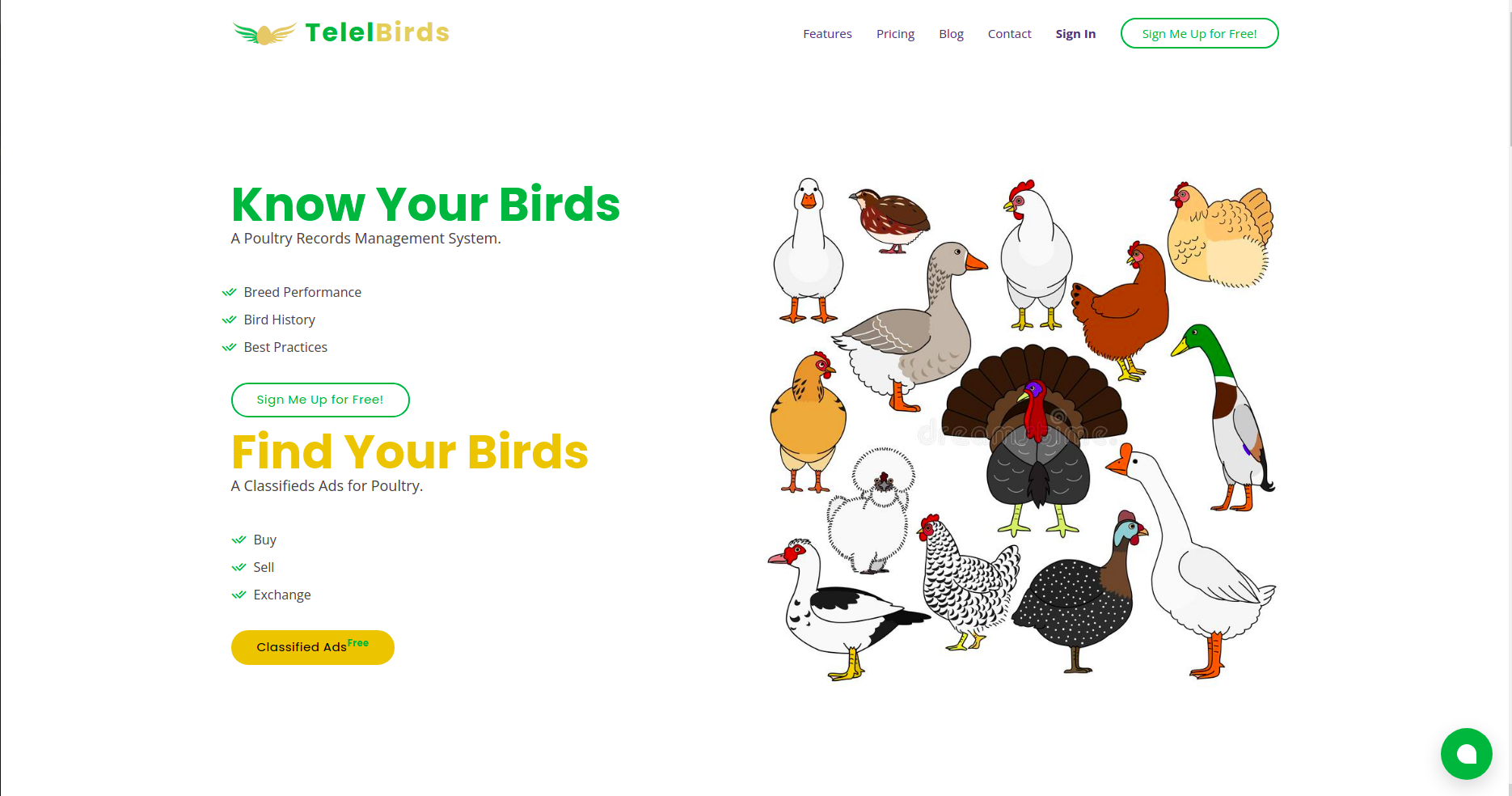 TelelBirds gallery image