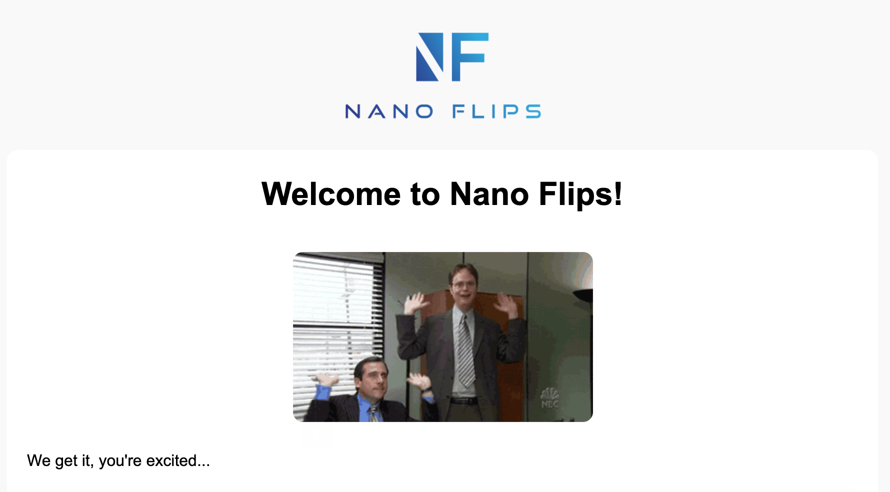 Nano Flips - Newsletter gallery image
