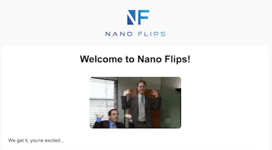 Nano Flips - Newsletter gallery image
