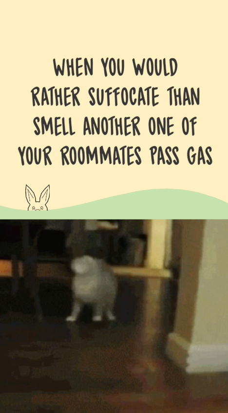 Instagram Story Design Service gallery image