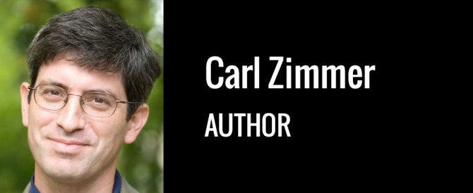 The Books Project gallery image