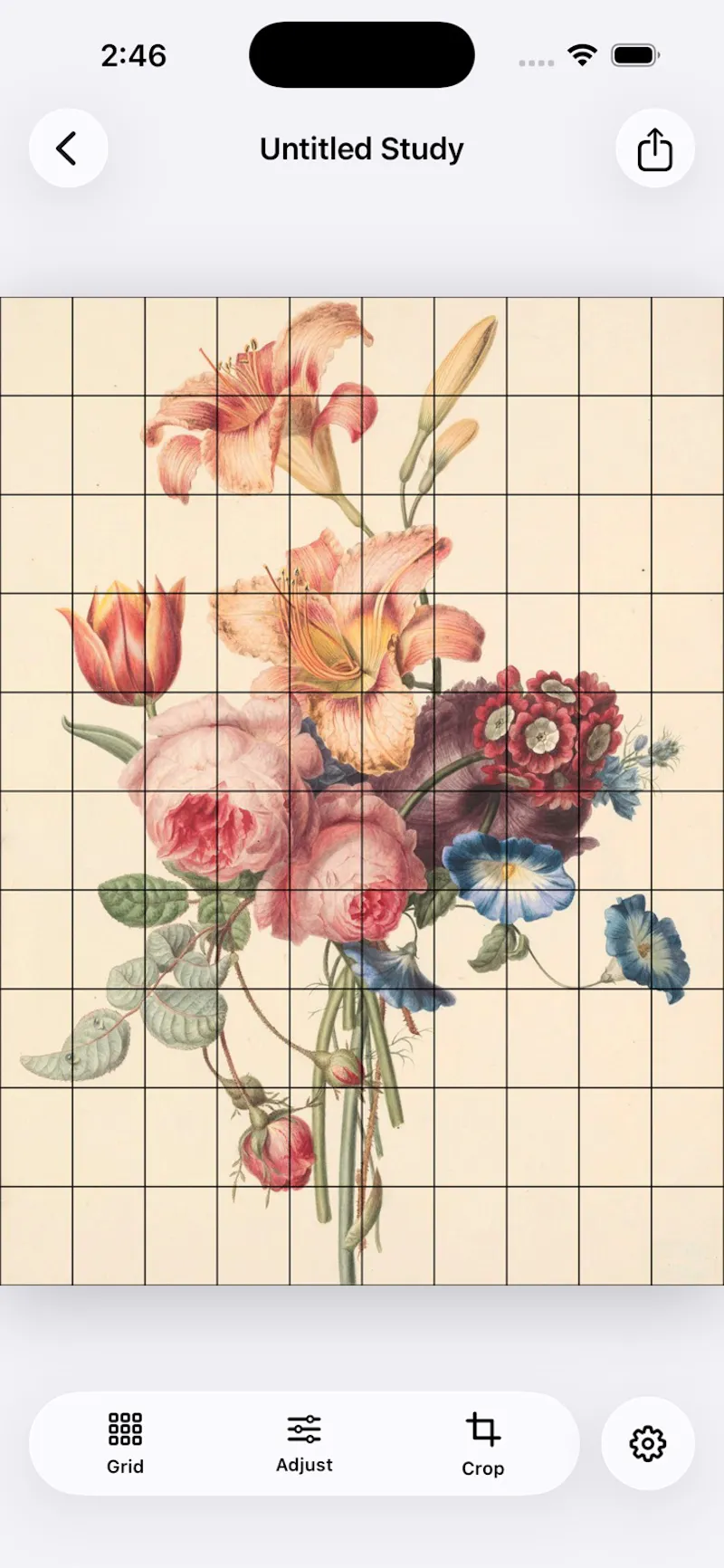 Grid Maker for Artist screenshot 2