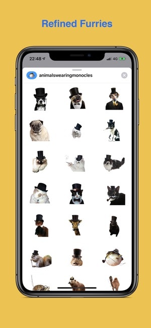 Animals Wearing Monocles gallery image