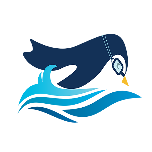 Swim Lesson Club USA gallery image