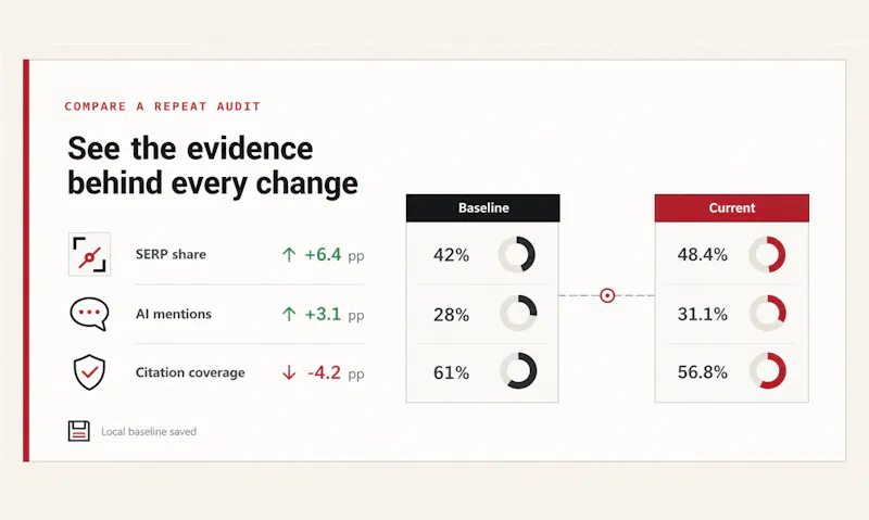 Brand SERP & AI Citation Audit screenshot 4