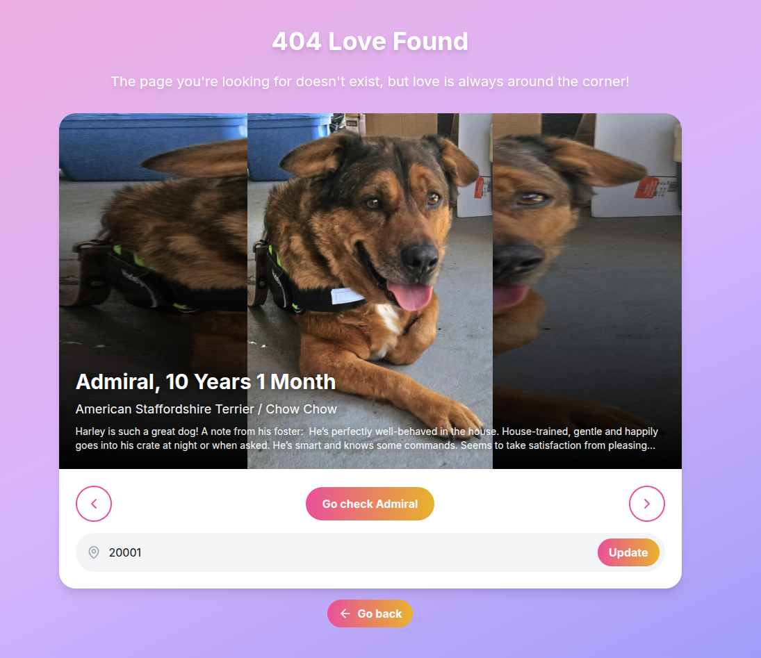404 Aşk Bulundu - 404 sayfayı yakındaki evlat edinilebilir evcil hayvanların fotoğraflarıyla değiştirir medya 4
