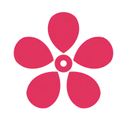 Cherry Blossom