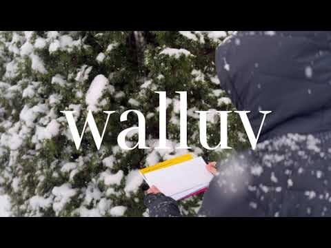 walluv gallery image