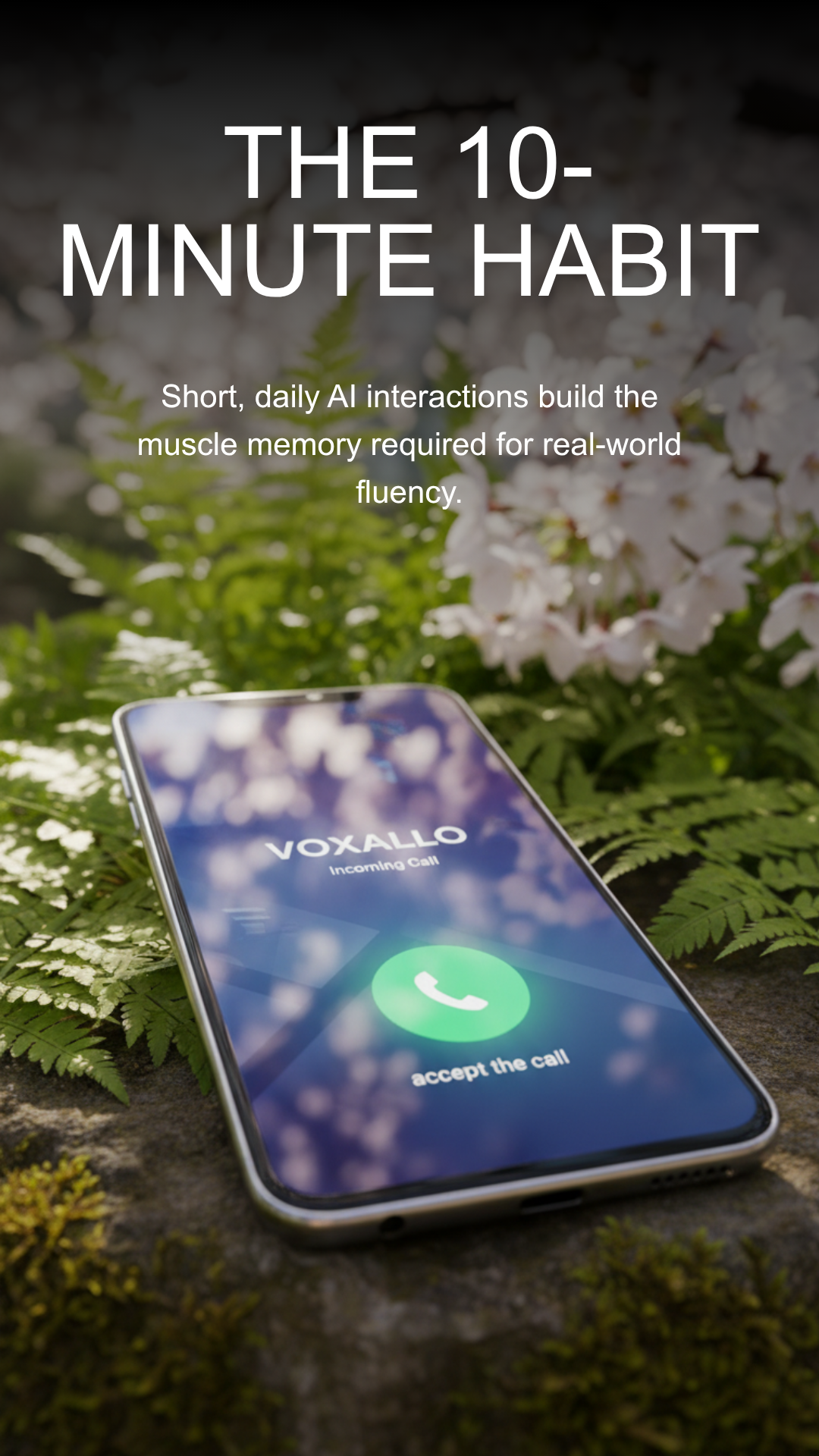 Voxallo gallery image