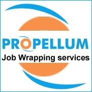 Propellum Infotech