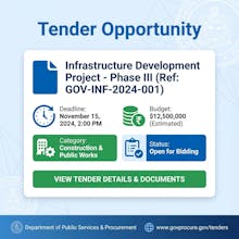 Tenders SA - AI Based gallery image