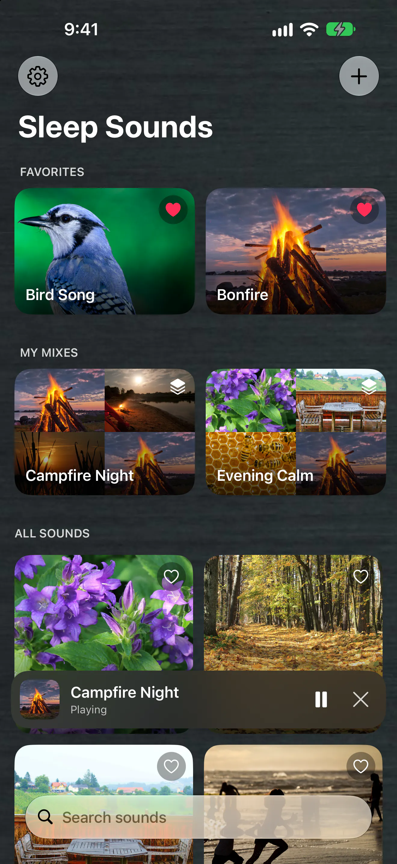 Sleep Sounds gallery image