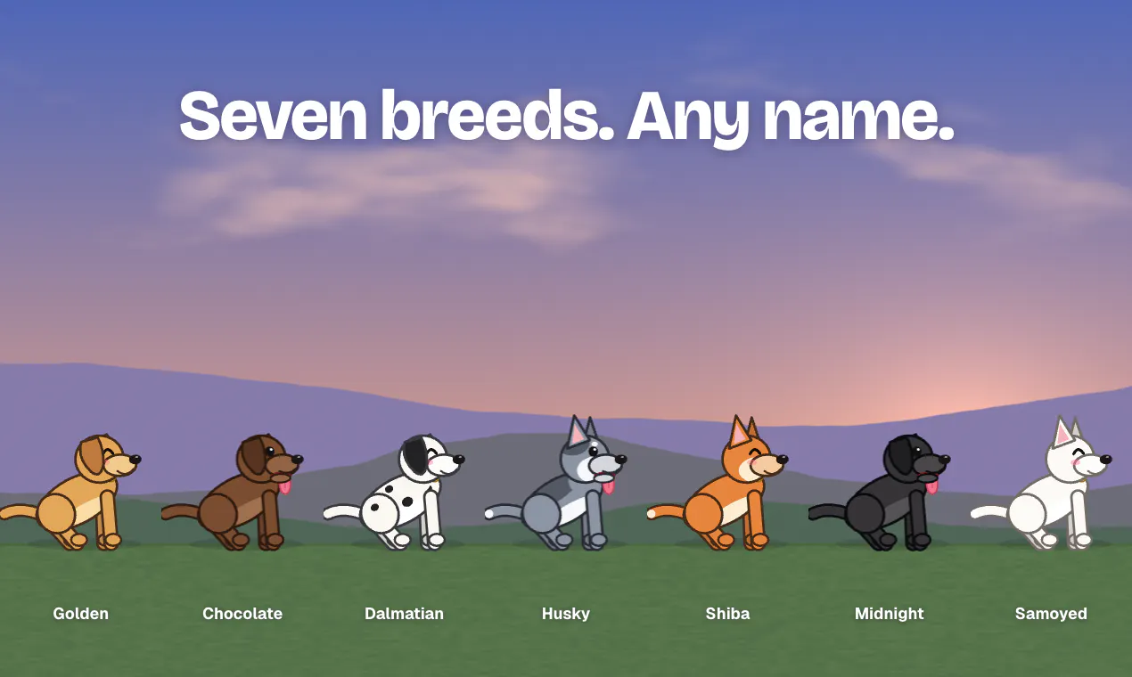 DummyPet gallery image