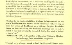 Buddhism Without Beliefs media 3
