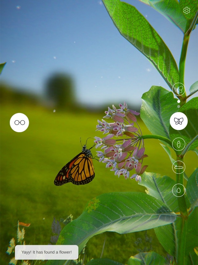 Butterfly Story gallery image