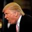 Trump Tweets