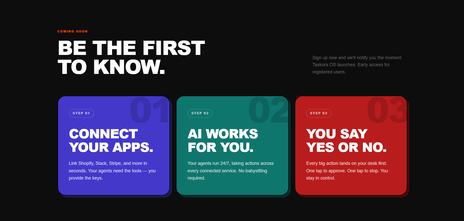 Taskora OS gallery image