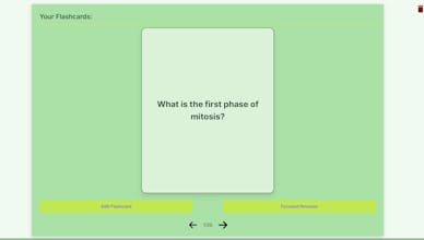 Envision.study gallery image