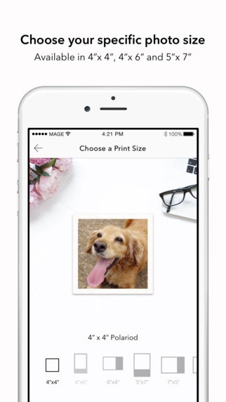 MagePrints gallery image