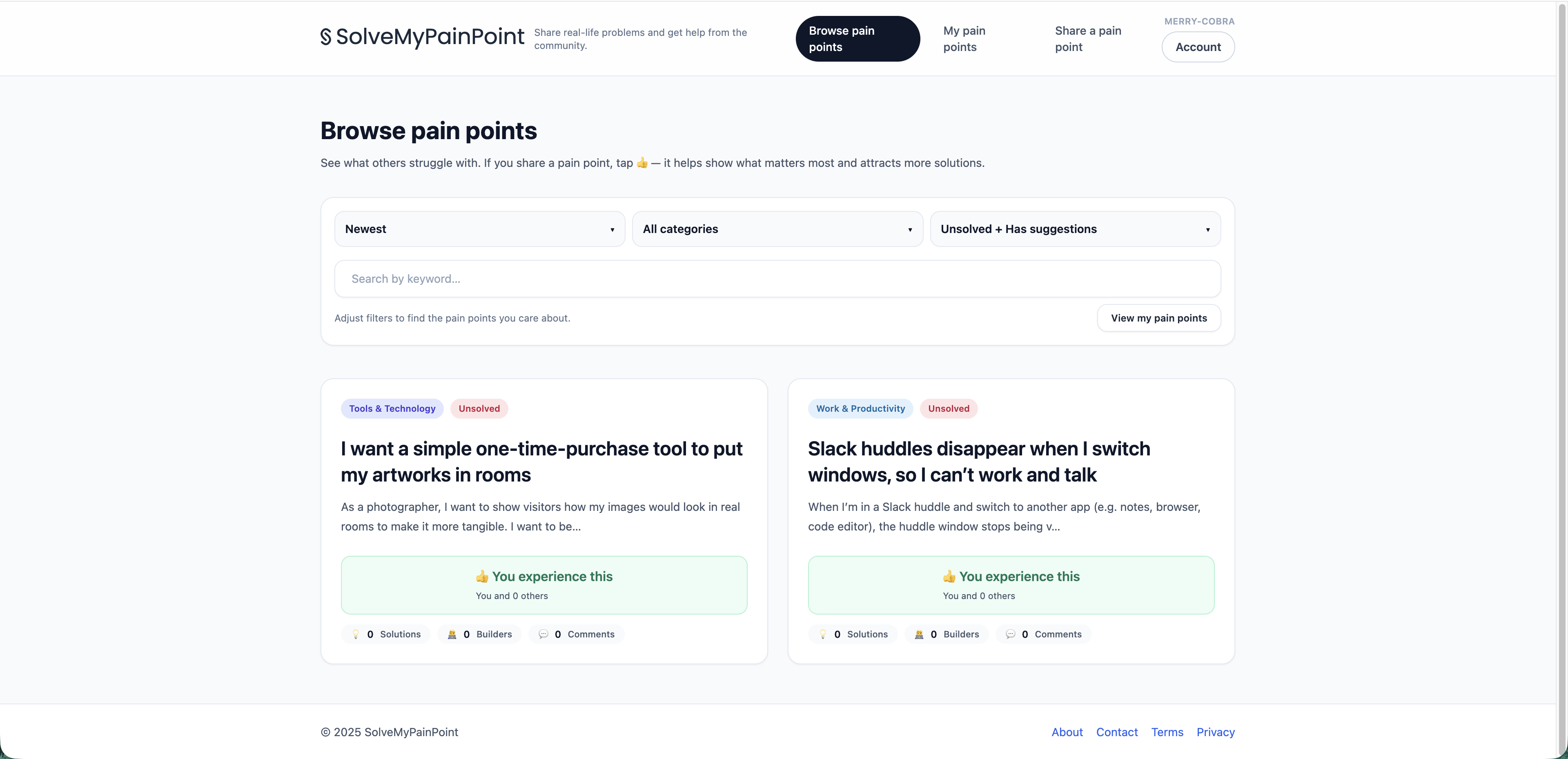 SolveMyPainPoint - Main product screenshot demonstrating key features and user interface