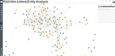 Fraud.net gallery image