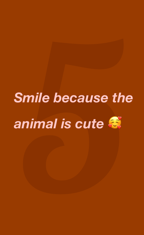 Animal Text gallery image