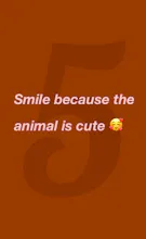 Animal Text gallery image