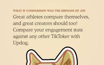 UpDog Analytics for TikTok gallery image
