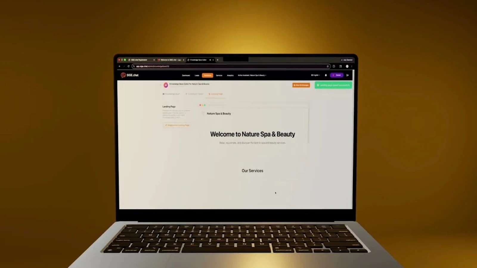 SIGE.chat screenshot 1 (video preview)
