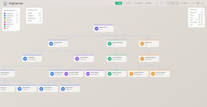 OrgCanvas gallery image