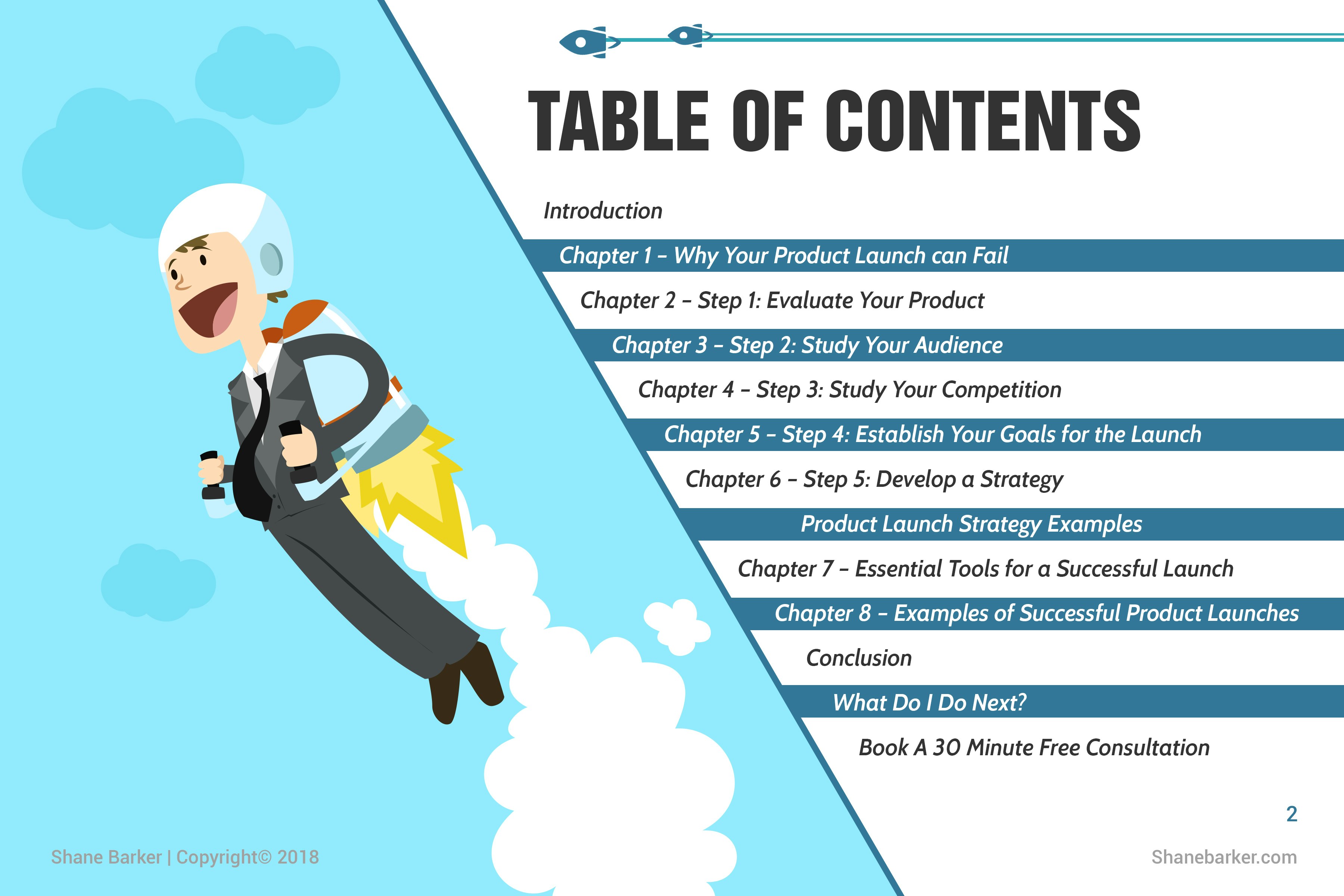 Product Launch Strategies gallery image