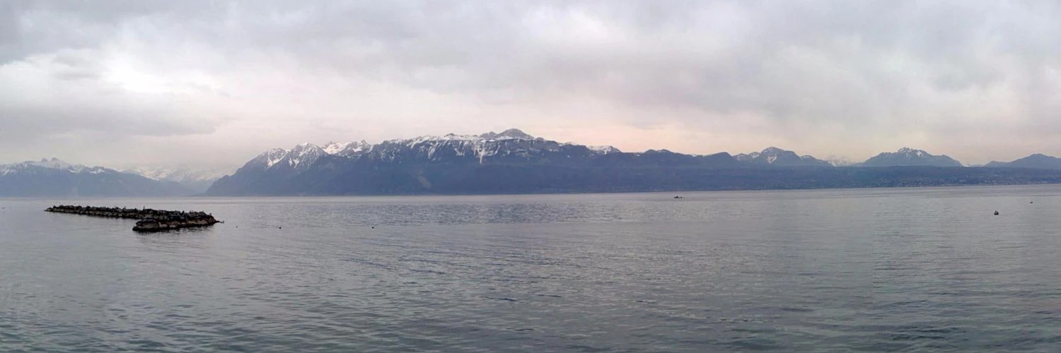 Matthew Revell cover