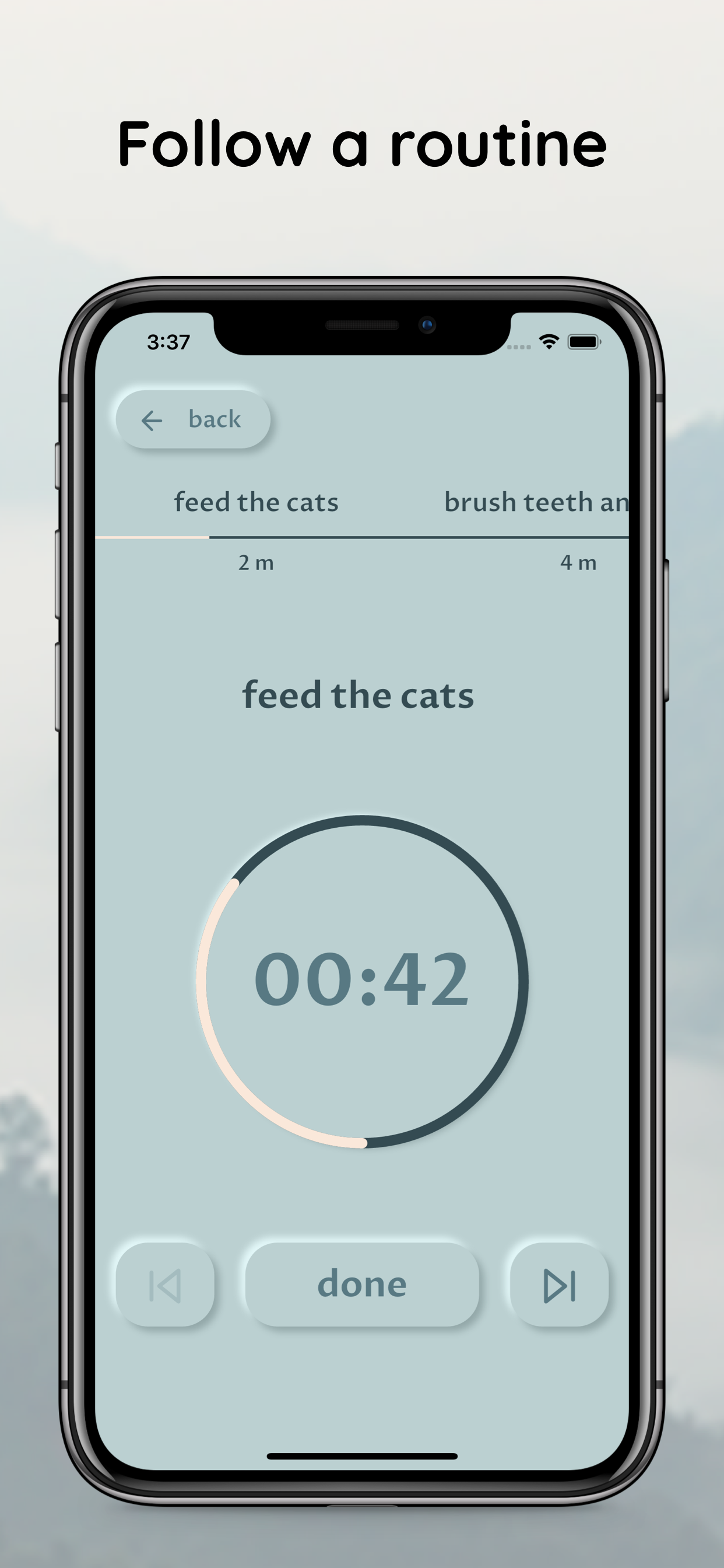 My Morning Routine gallery image