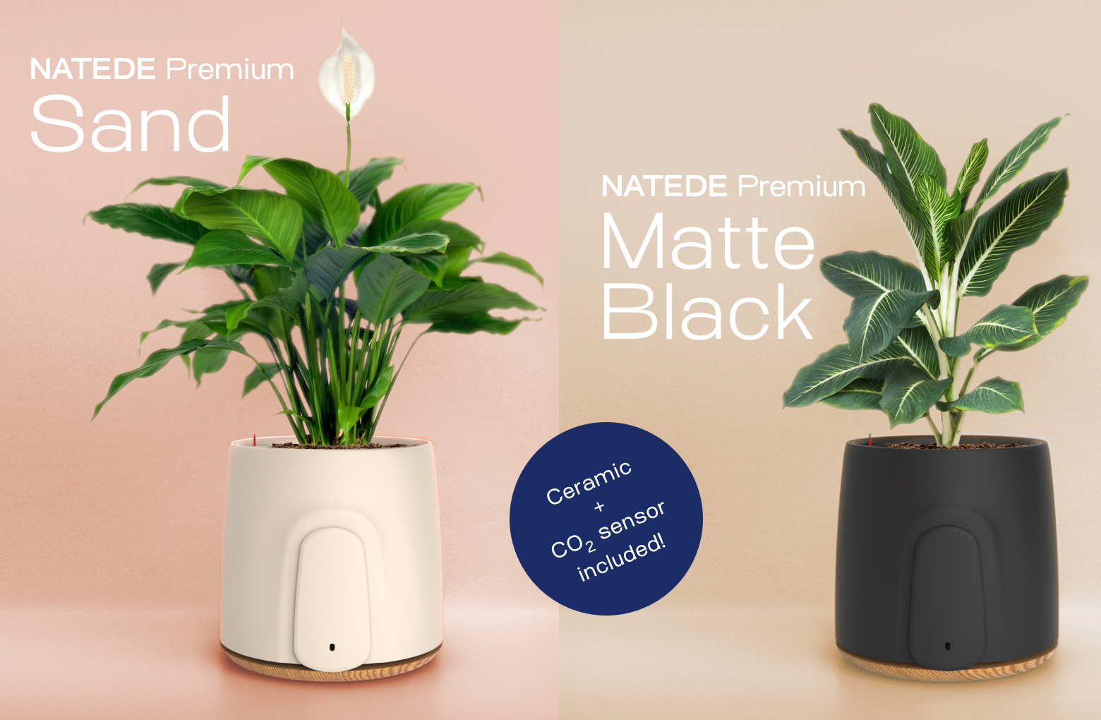 NATEDE gallery image