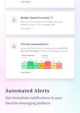 Ads Audit by Roibox gallery image