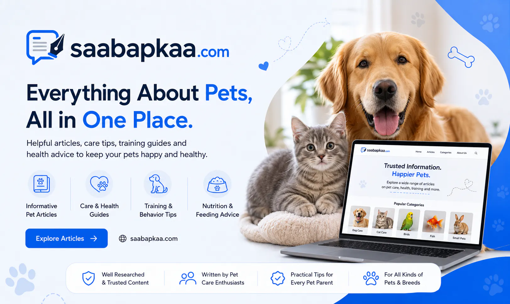 saabapkaa.com gallery image