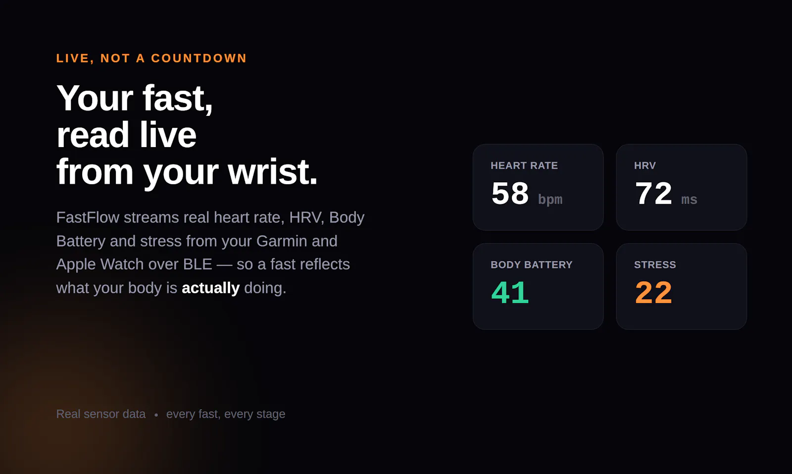 FastFlow screenshot 2