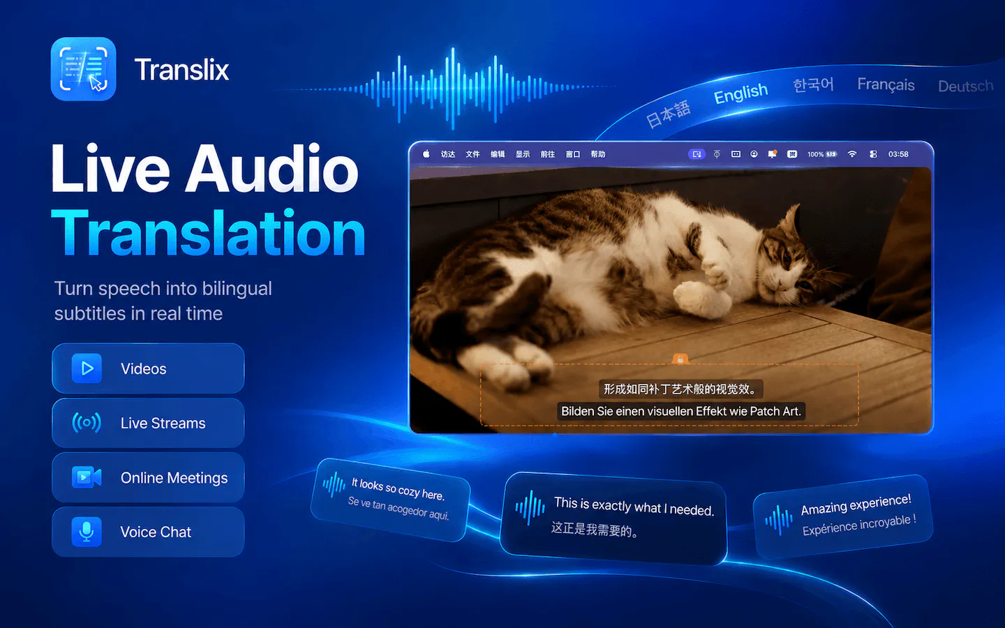 Translix gallery image