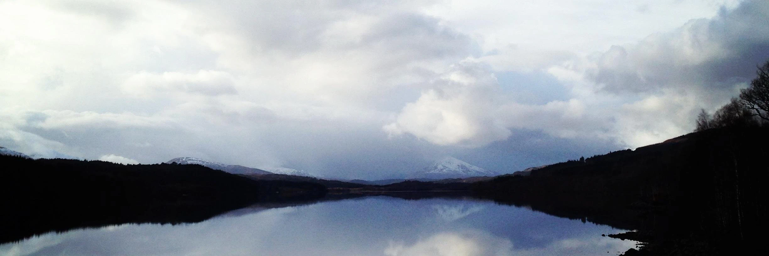 Shanna Tellerman cover