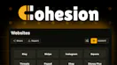 Cohesion Game
