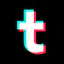 Tiktok Transcript Generator